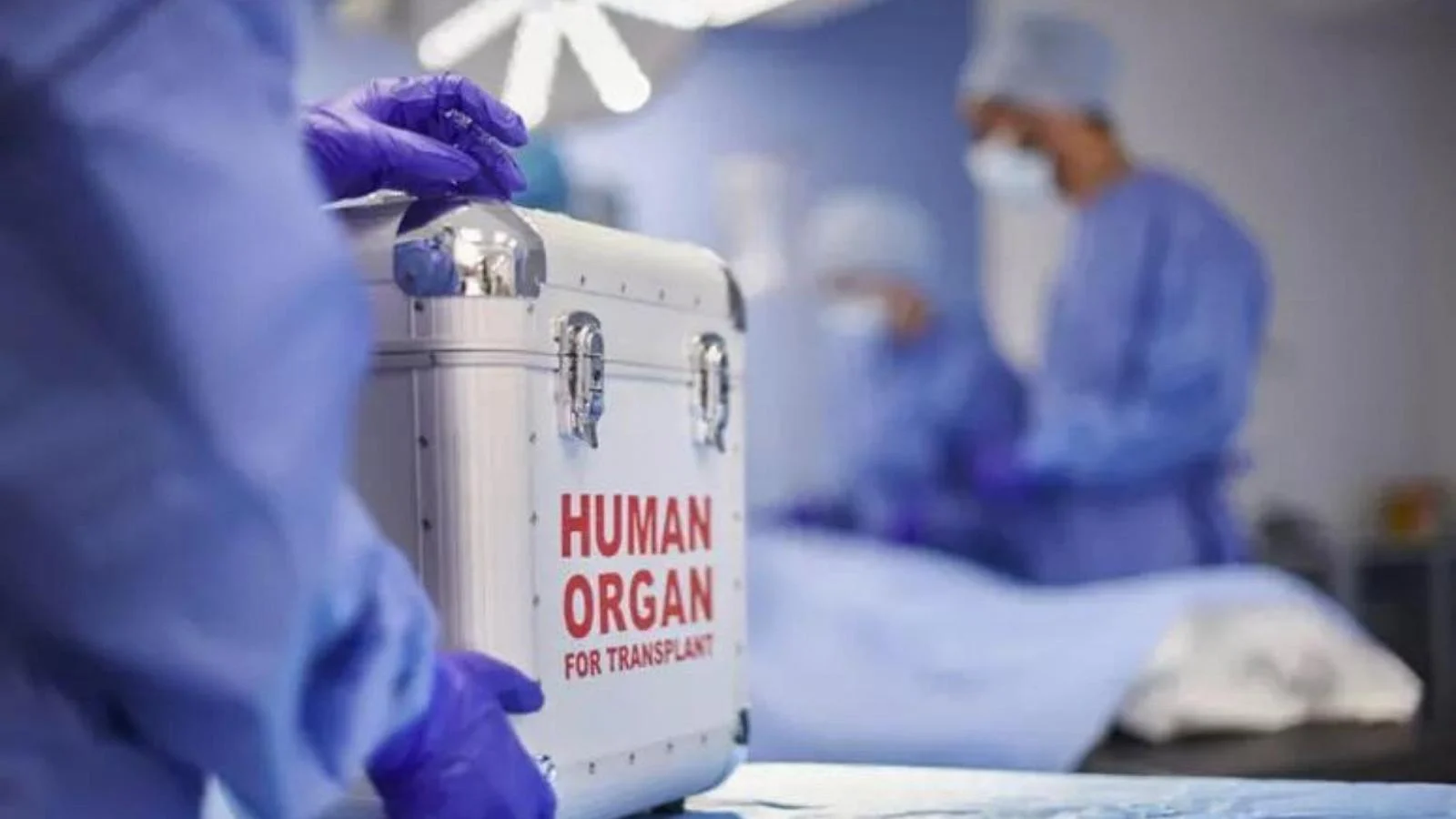 Mulher de 95 anos doa órgãos em hospital Sant'Andrea; fígado salva paciente em outro centro