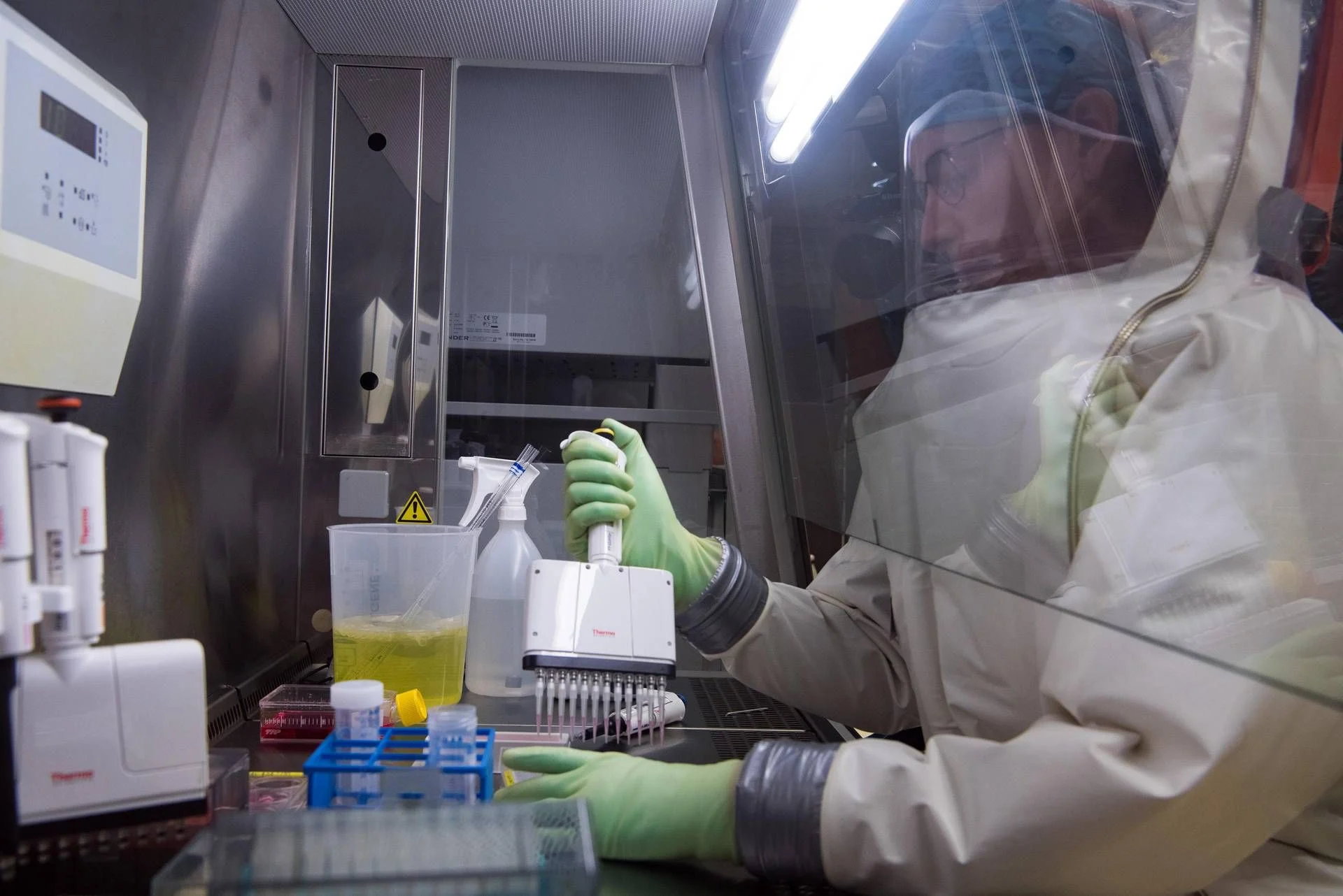 Vírus Nipah: estudo italiano recomenda vigilância em tempo real para prevenir novos surtos