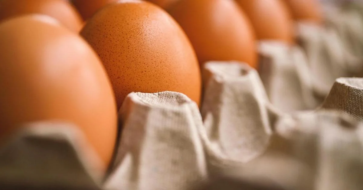 Alerta de Salmonella: Ovos da Avicola Serroni são recolhidos do mercado por risco microbiológico