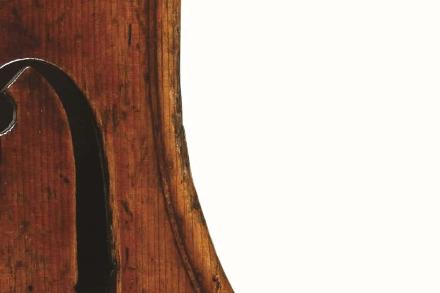 Estudo confirma: o madeiro dos violinos de Stradivari vinha da Val di Fiemme