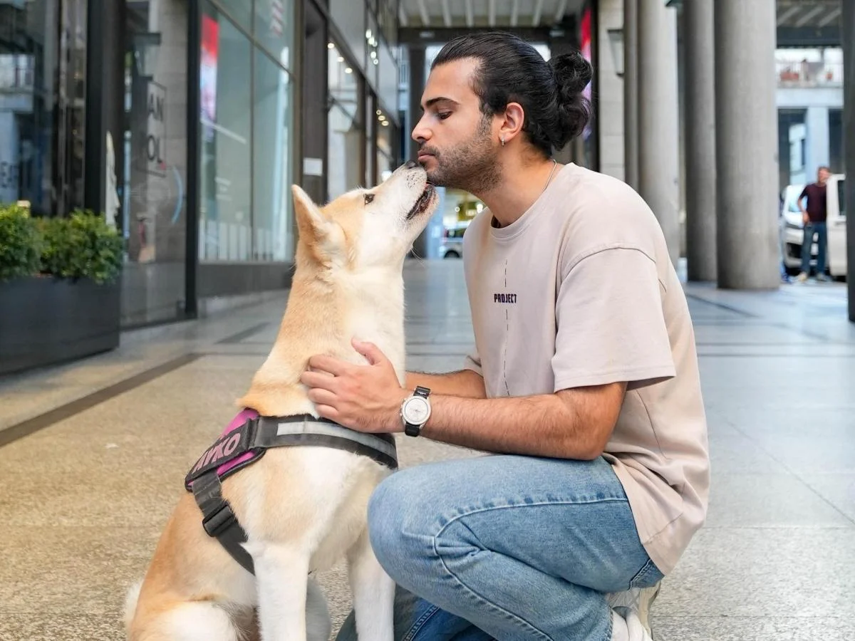 DoggoDaiily amplia o olhar: de cães às ruas de Turim agora também retrata gatos e planeja acolher animais sem lar