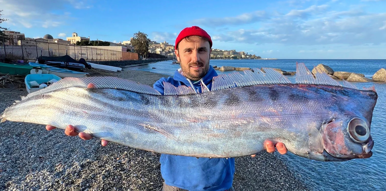 Raro peixe liocorno (Lophotus lacepede) é encontrado em Milazzo e será exibido no MuMa