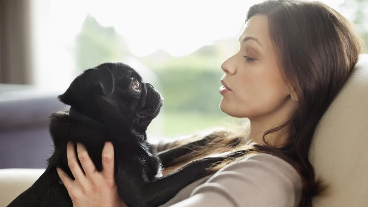A relação com o cão é amor? Como o olhar, a oxitocina e o afeto sem julgamento moldam esse vínculo