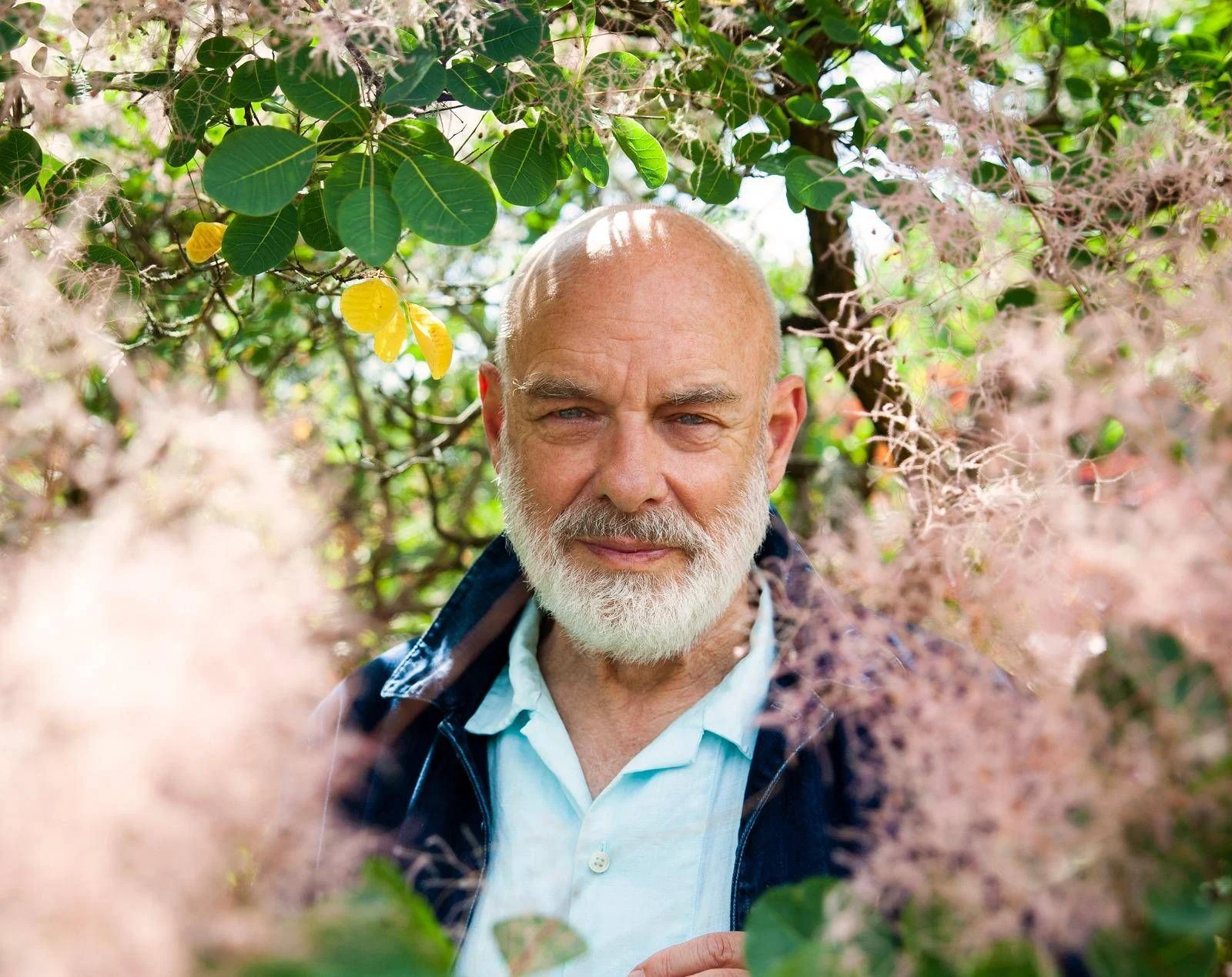 Brian Eno transforma Parma: do som generativo aos espaços públicos