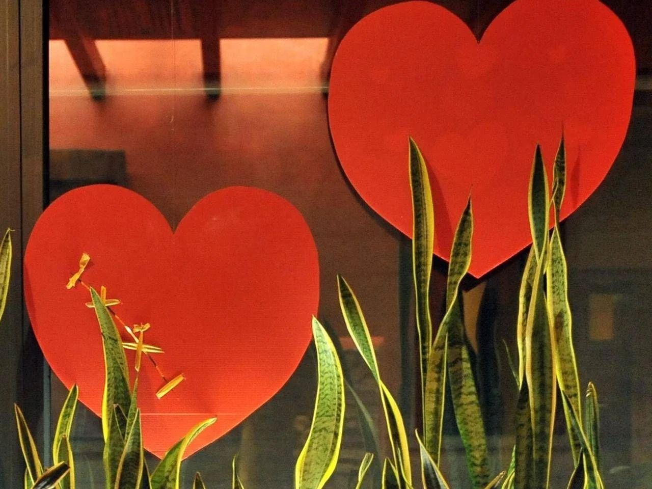 Amor protege o coração: o que muda na saúde cardiovascular de quem vive em casal