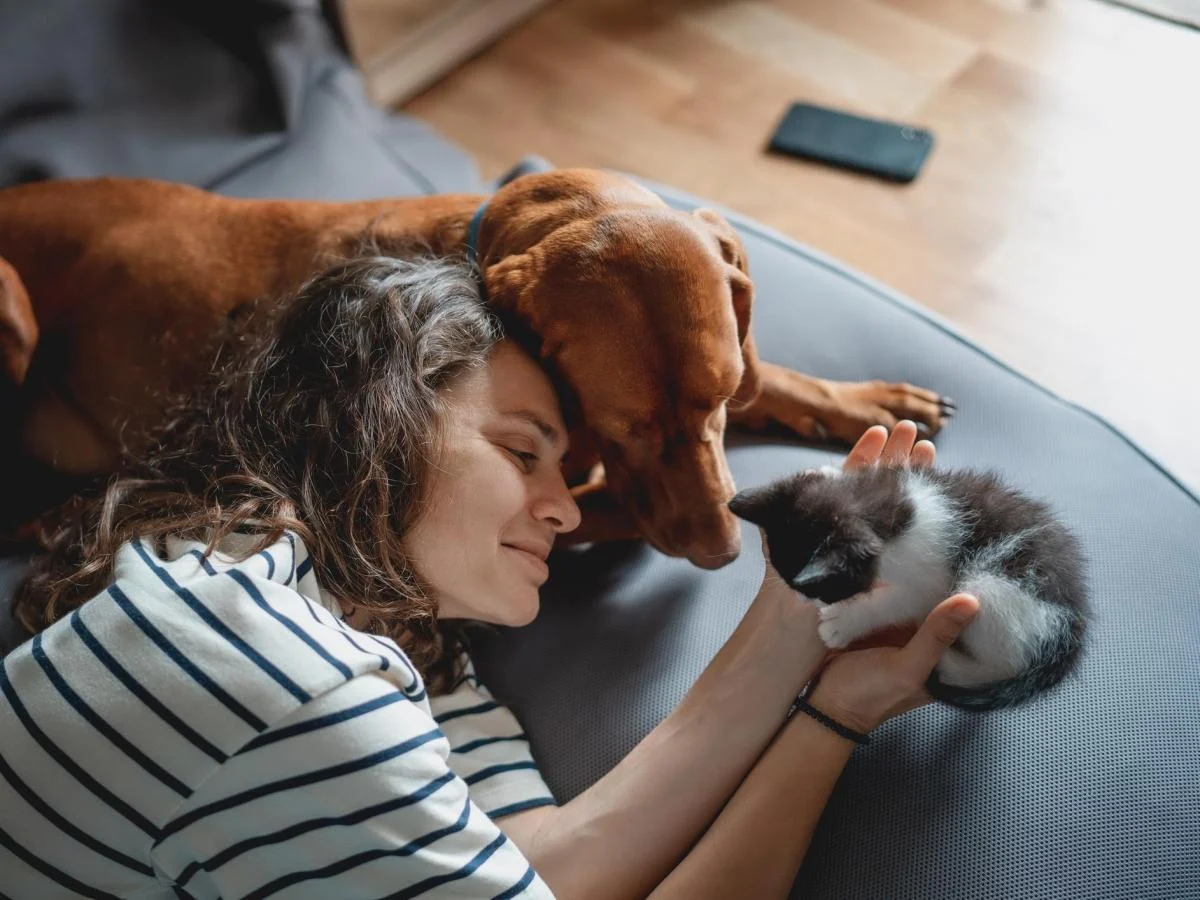 Gastos com pets na Itália chegam a €6,7 bilhões: Lombardia lidera o cuidado aos animais