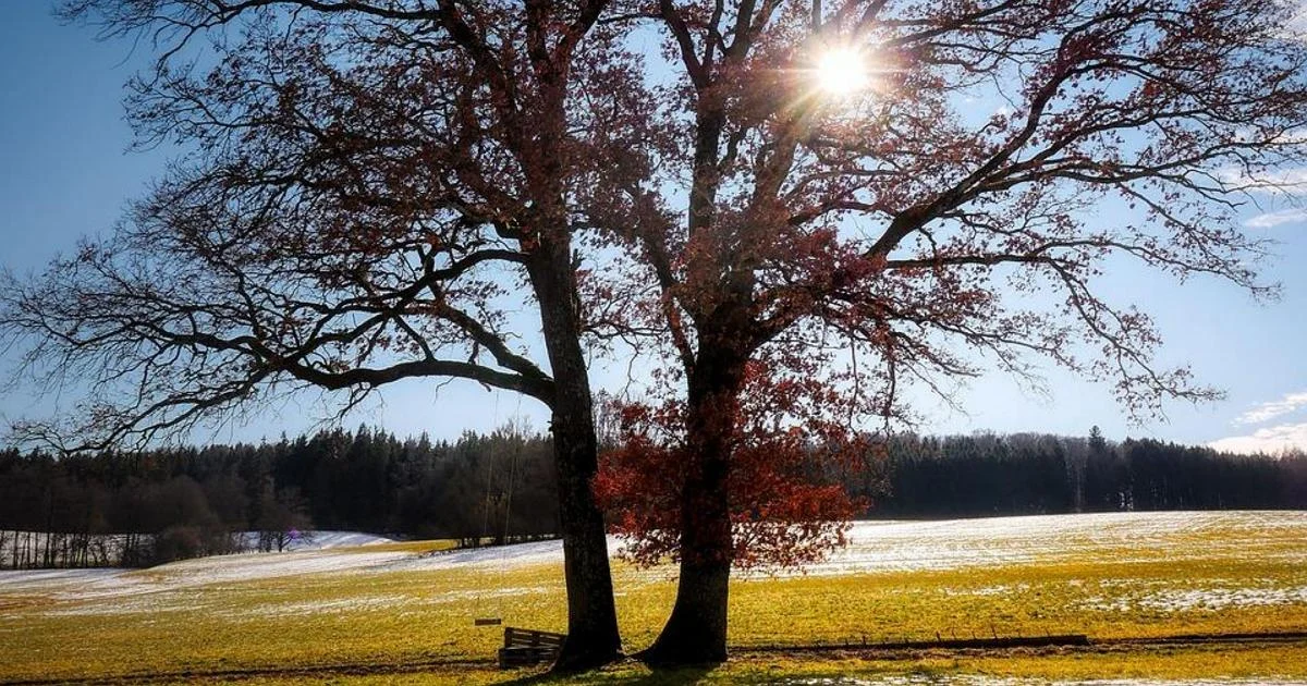 Anticiclone das Azzorre promete pôr fim ao maltempo e trazer primavera ao Norte e Centro da Itália