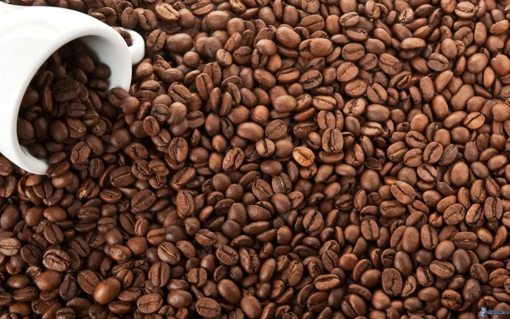Crise do café: aquecimento global reduz produção e pressiona preços, aponta estudo da Climate Central