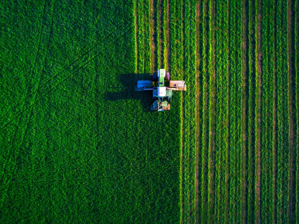 PAC favorece carne e laticínios: Estudo Foodrise revela subsídios três vezes maiores que aos vegetais