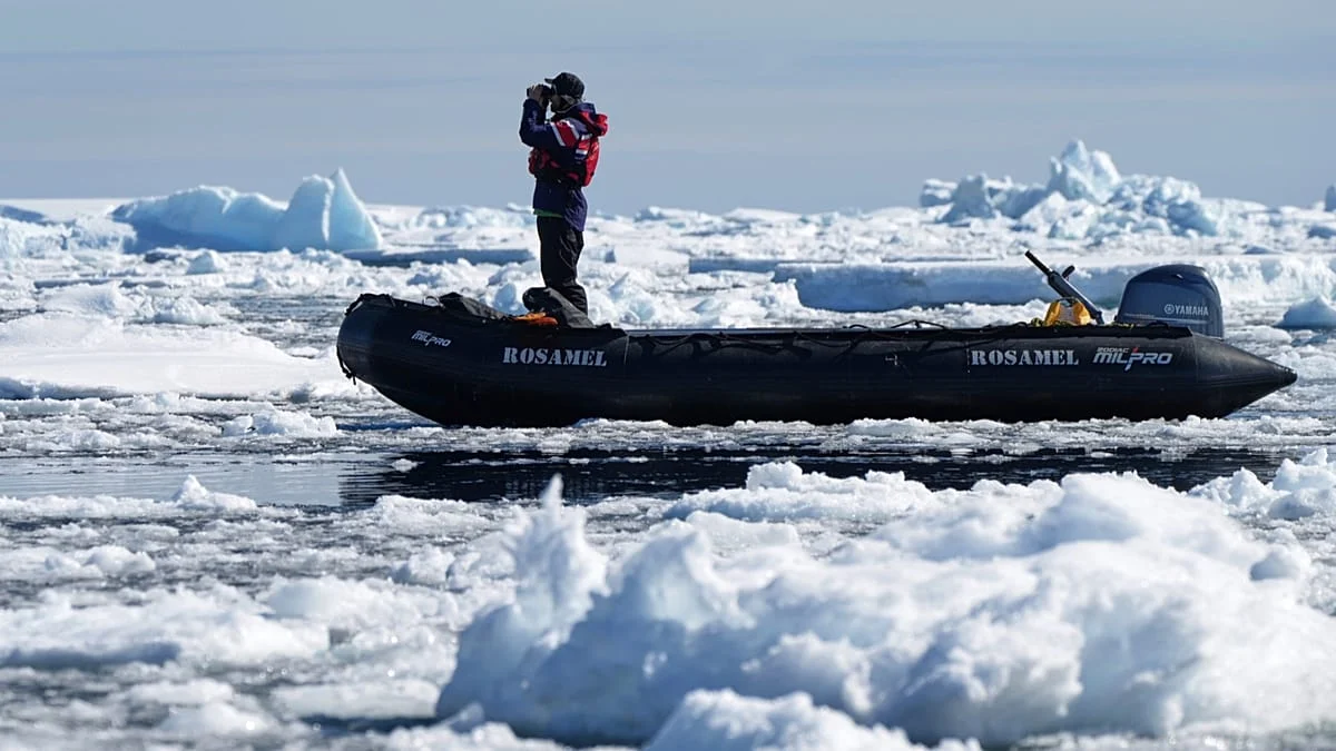 Antártica em Ponto de Virada: estudo revela cenários do aquecimento e riscos ao nível do mar