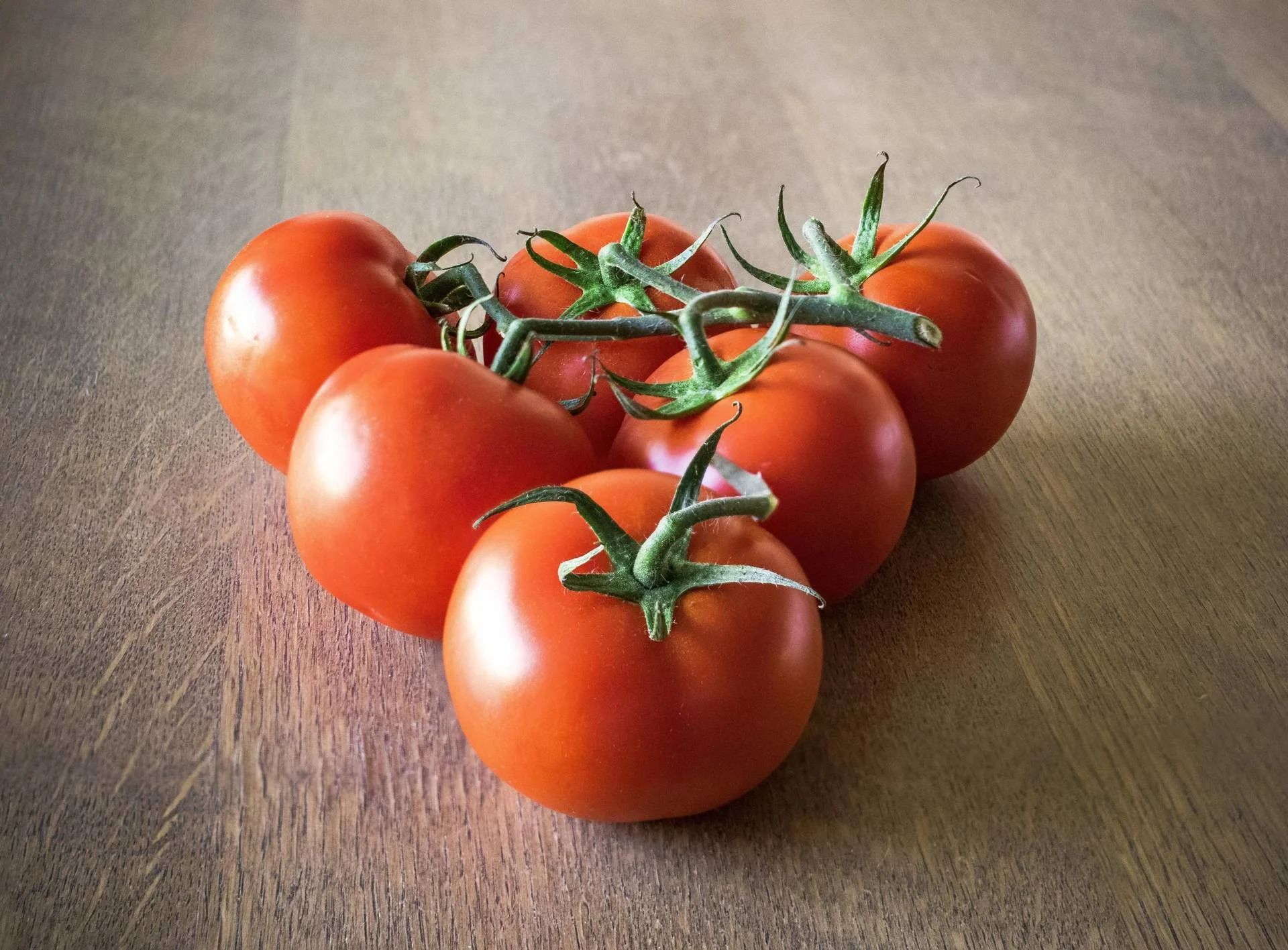 Chegam os tomates egípcios: especialista alerta que os tomates italianos são mais seguros e nutritivos