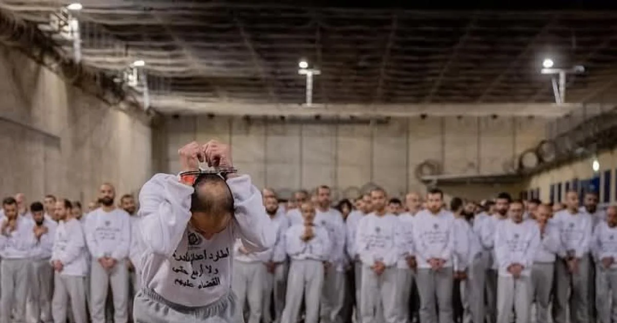 Relatório do CPJ aponta abusos sistemáticos contra jornalistas palestinos detidos em prisões israelenses