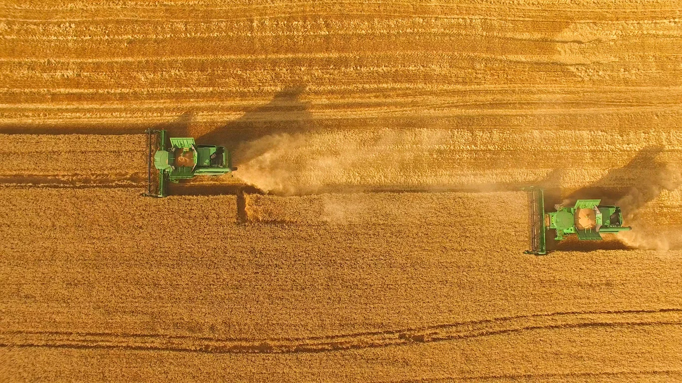 Itália é a 4ª na UE por valor agregado da agricultura em relação ao PIB, mostram dados da Eurostat