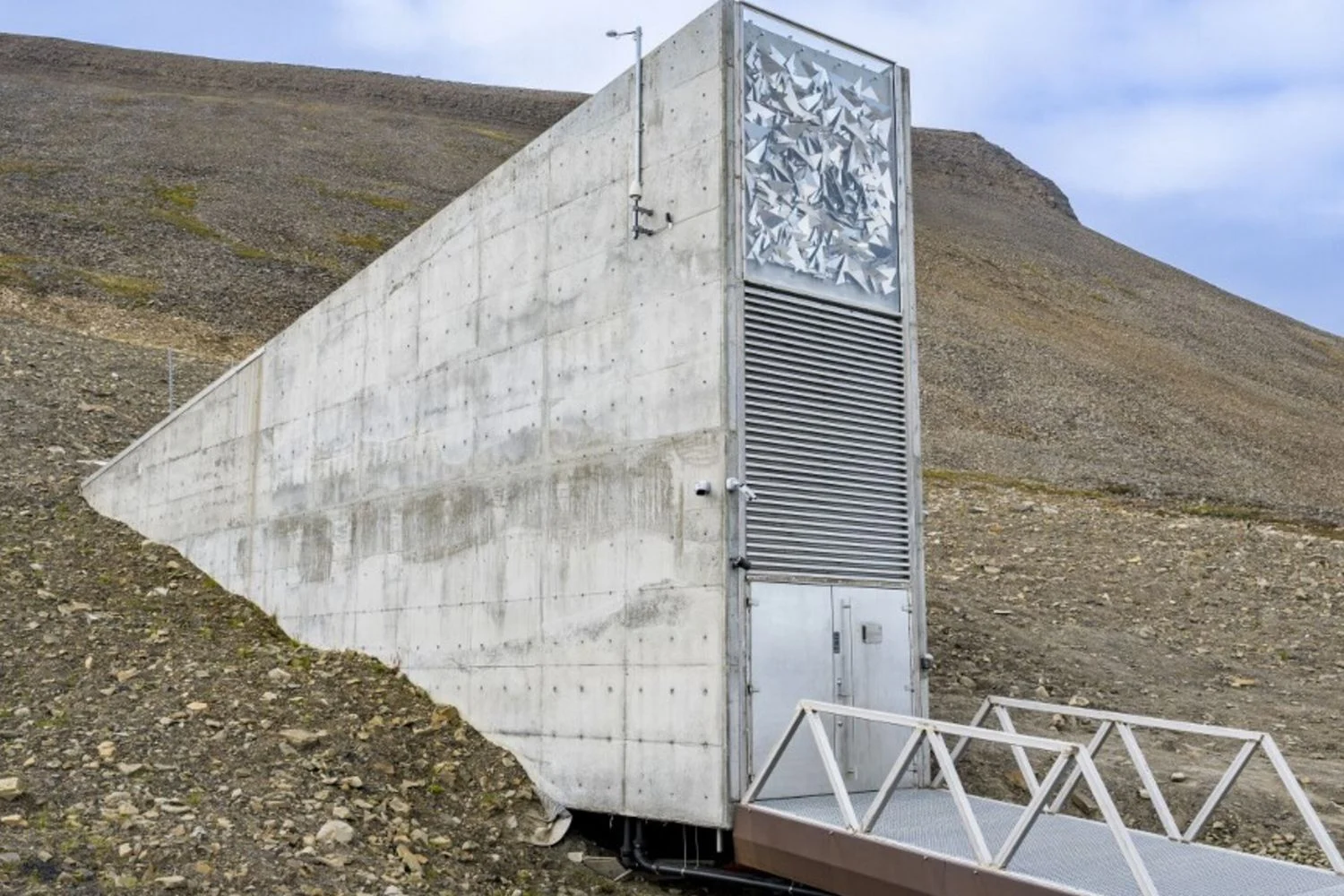 Sementes de oliveira chegam ao Svalbard: primeiro depósito de oliveiras no maior cofre de sementes do mundo