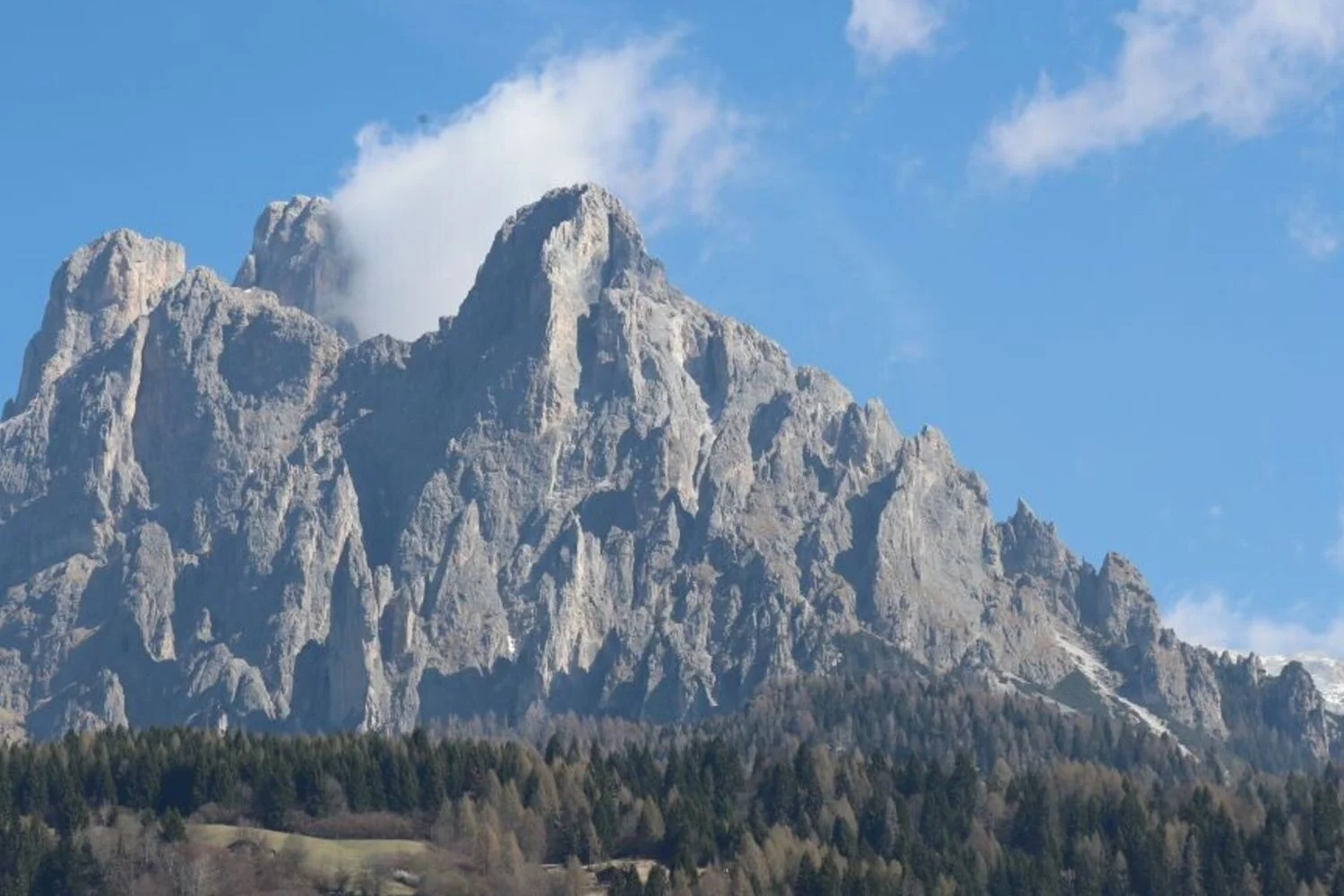 Dolomia lança Dolomia Biodiversity Award para valorizar pesquisas sobre a biodiversidade das Dolomitas
