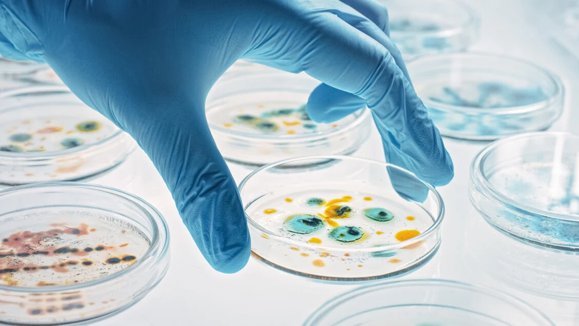 Microbiologistas clínicos se formam em gestão para tornar os cuidados mais sustentáveis