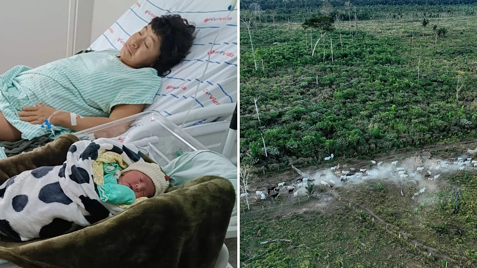 Nascimento de Akyp renova a esperança pelos Akuntsu e pela Amazônia