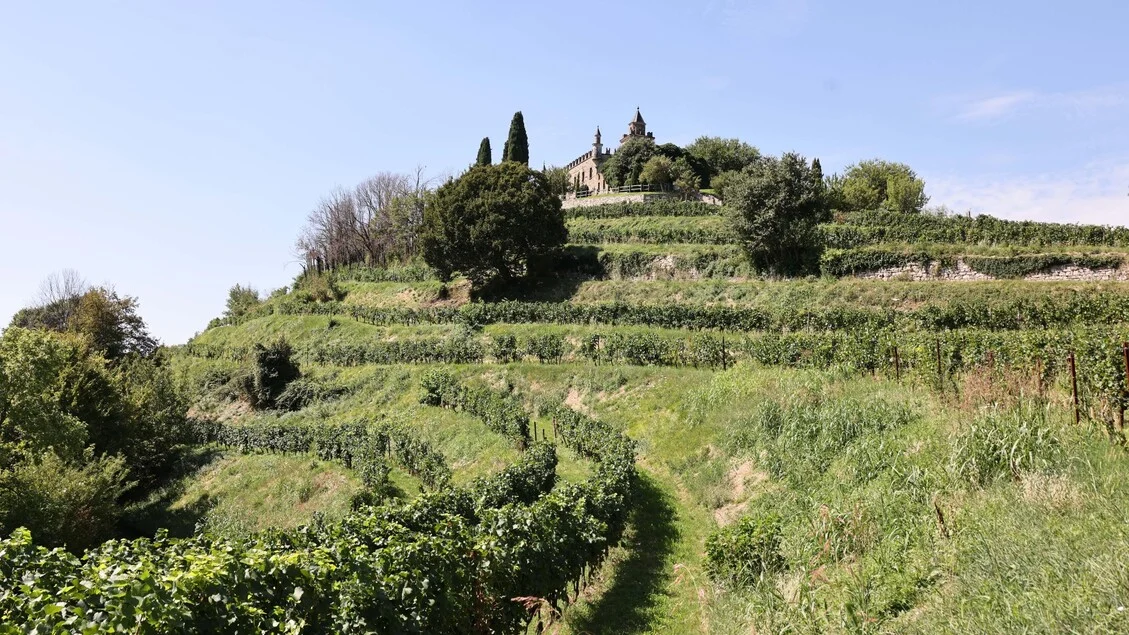 Lombardia lança portal nacional dedicado ao turismo do vinho: Ascovilo lidera iniciativa