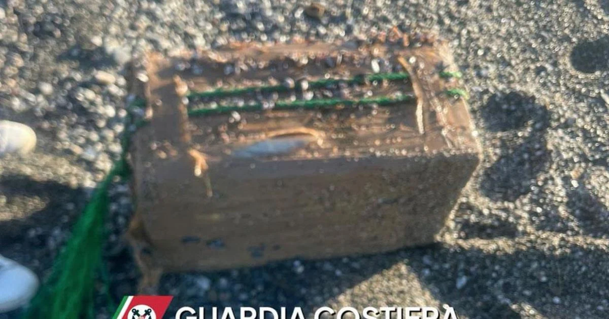 Pacote com 62 kg de haxixe é apreendido na praia de Curinga, Calabria