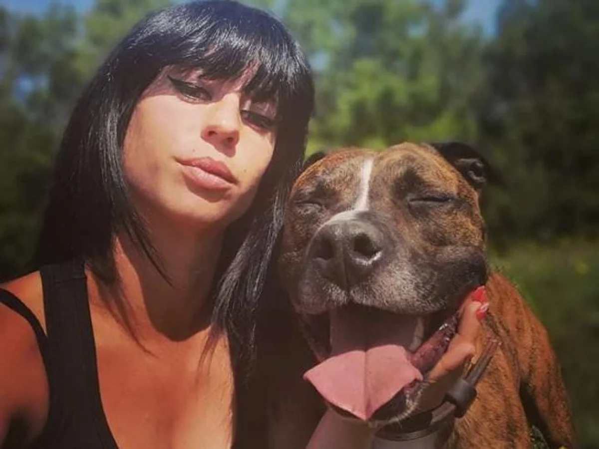 Homem a julgamento por homicídio culposo após pitbull matar companheira grávida em Soissons