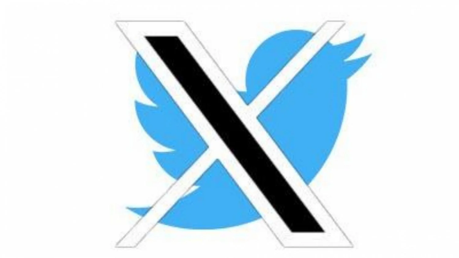 20 anos do primeiro tweet: como o Twitter virou X e perdeu fôlego apesar de 550 milhões de usuários