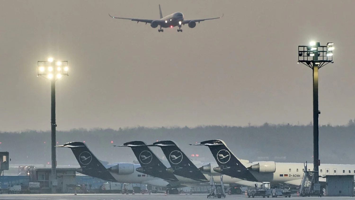 Ação coletiva exige R$100 mi de Fraport por desmatamento da Mata Atlântica em Fortaleza