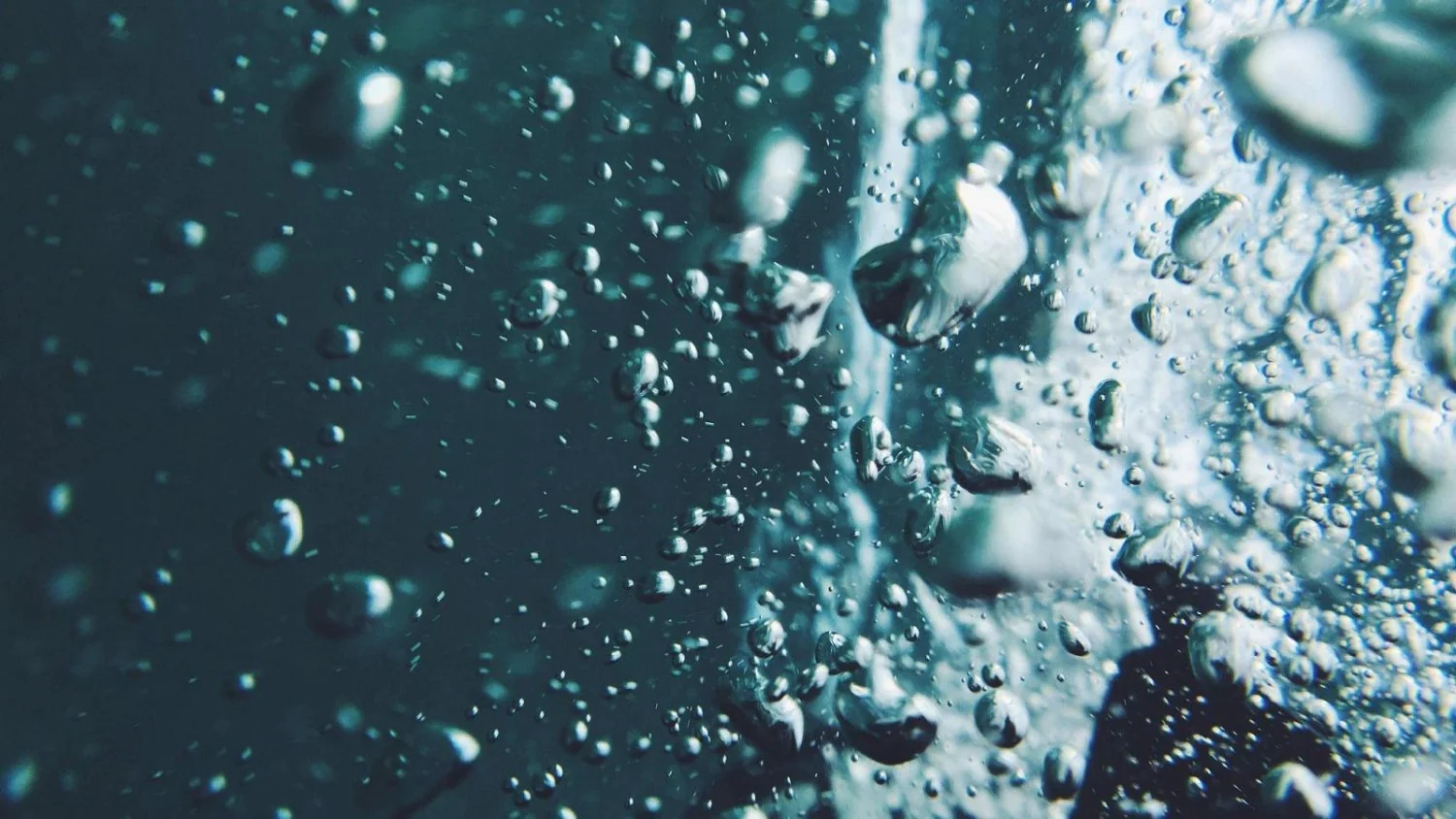 Acquamazione: como funciona a cremação por água aprovada na Suécia e o impacto ambiental
