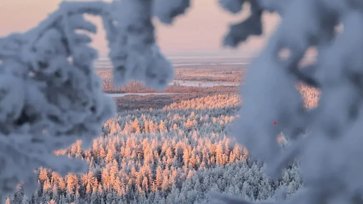 AirBaltic amplia voos de inverno para Kuusamo: Londres, Berlim, Riga e mais conectam-se à Lapónia finlandesa