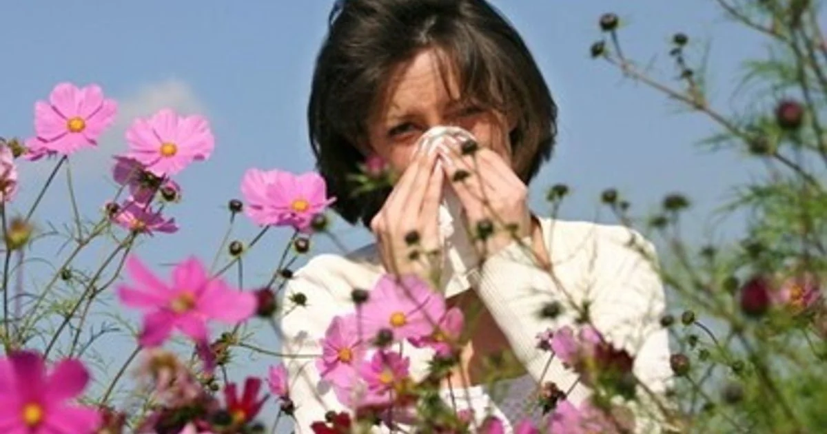 Alergias de primavera: consultas sobem 60% na Itália entre mudança climática e poluição