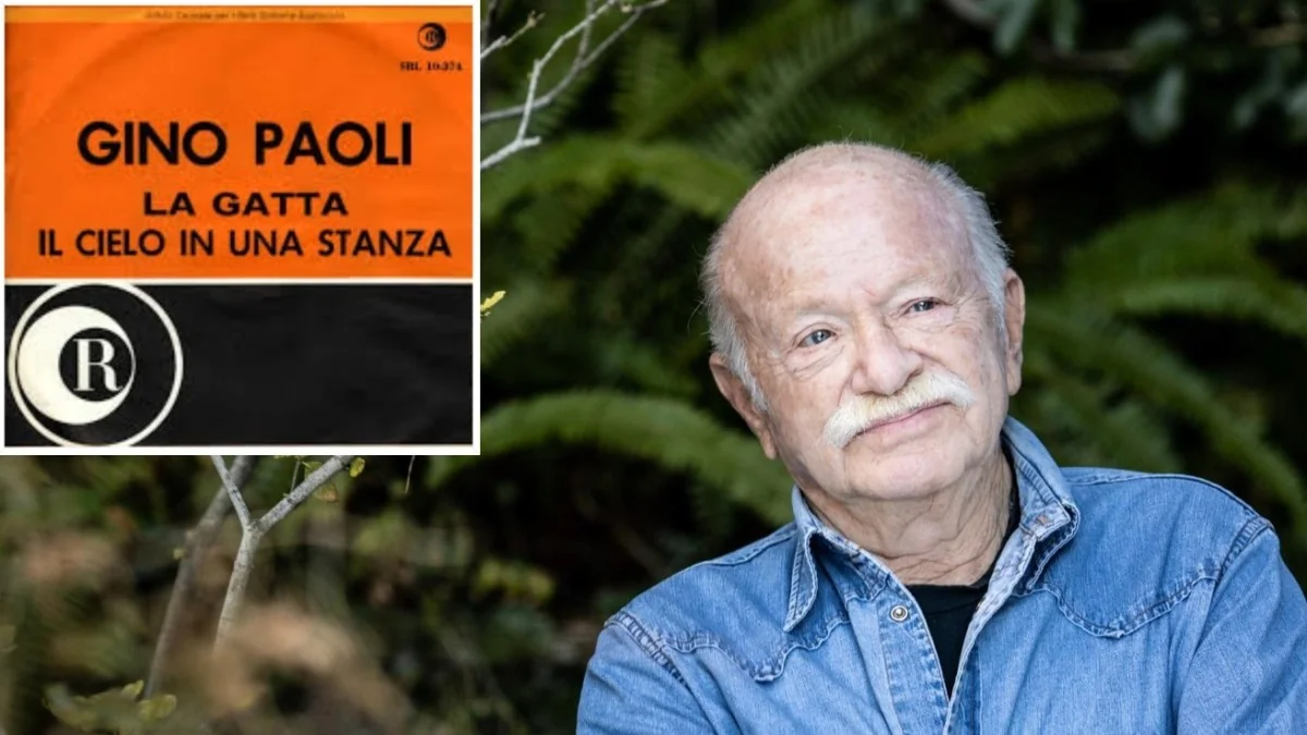 Ciacola: a verdadeira história da gata que inspirou Gino Paoli