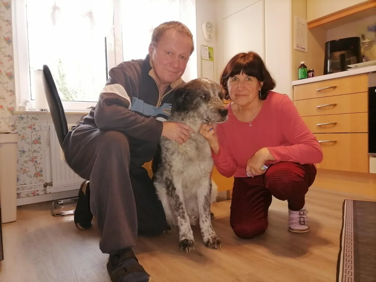 Ciro, o cão resgatado do galinheiro: da cegueira à nova vida em família na Alemanha