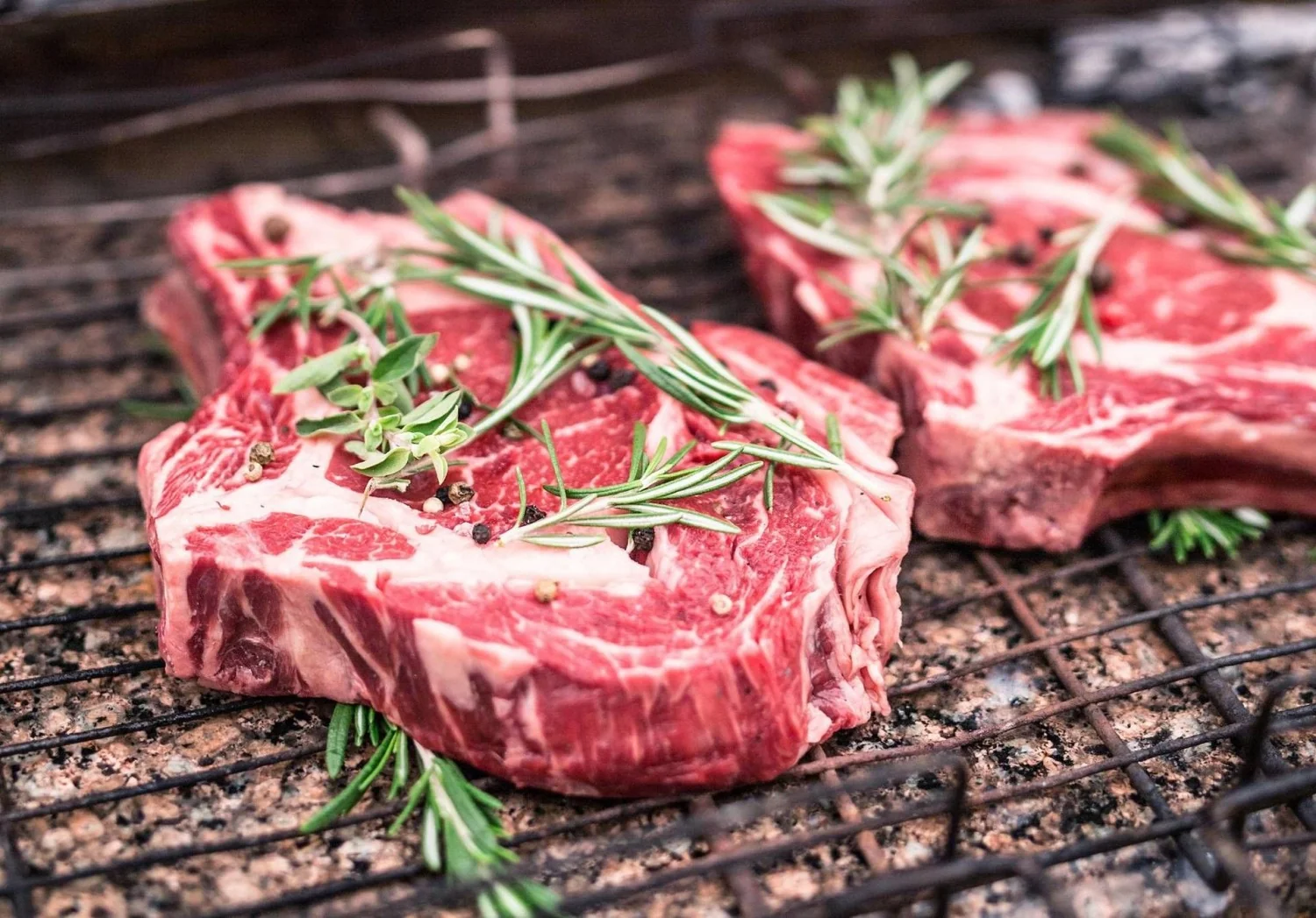 Estudo do Karolinska indica que consumo maior de carne pode reduzir risco de declínio cognitivo em portadores de ApoE4