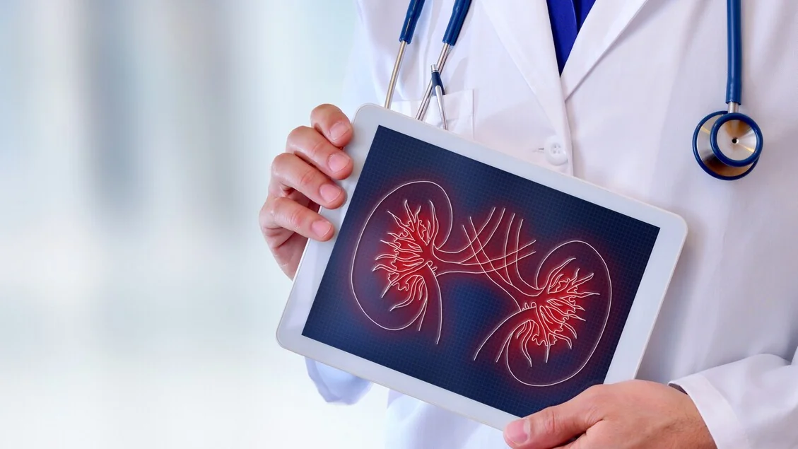 Doença renal crônica atinge 800 milhões no mundo e ameaça também o cérebro