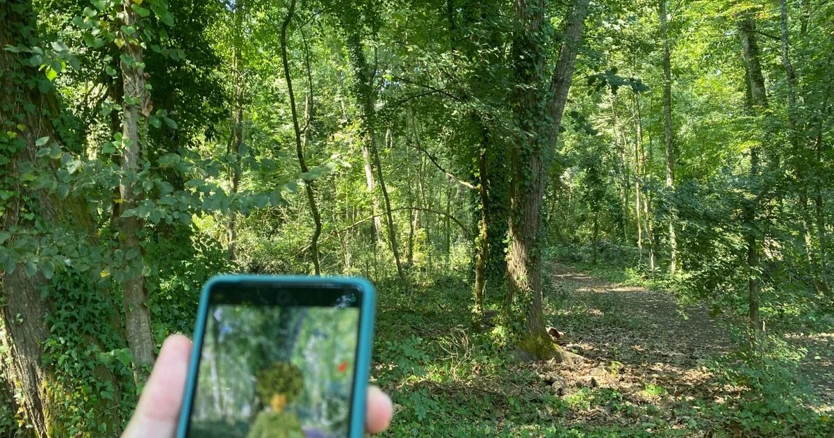 Econauti une Inteligência Artificial e natureza para transformar experiências verdes na Campania
