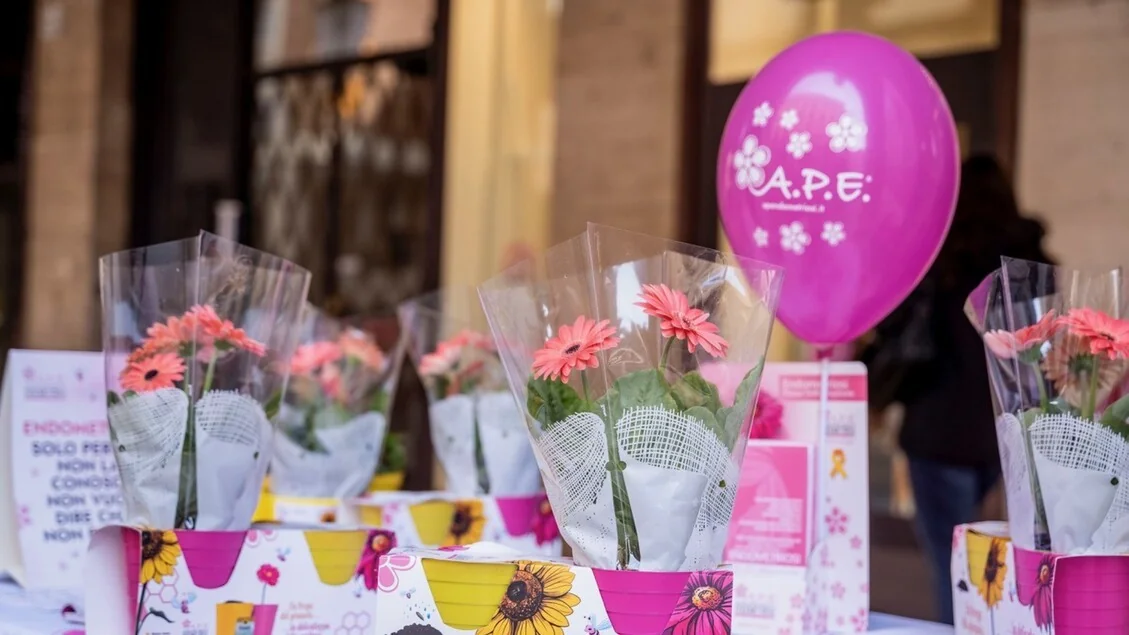 Endometriose atinge 3 milhões de italianas; diagnóstico leva em média 7 anos