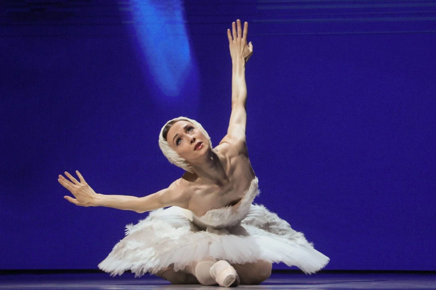 Roberto Giovanardi critica recusa a Svetlana Zakharova em Roma: “A cultura não deve erguer muros”