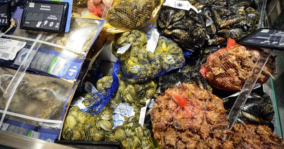 Alerta por hepatite A na Campânia: 150 casos, 51 internados e proibição de frutos do mar crus em Nápoles