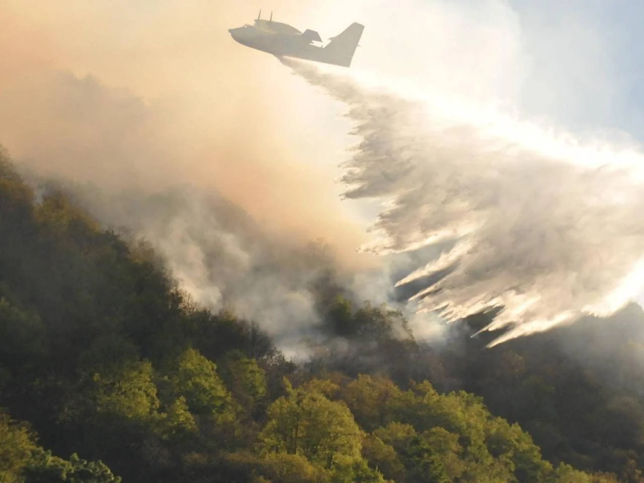Incêndios, tempestades e infestações: florestas europeias enfrentam risco crescente até 2100, indica estudo