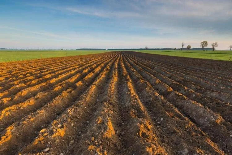 Ismea relança 'Generazione Terra' com €120 milhões para jovens agricultores em 2026