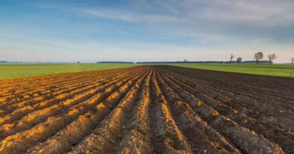 Ismea relança 'Generazione Terra' com €120 milhões para jovens agricultores em 2026