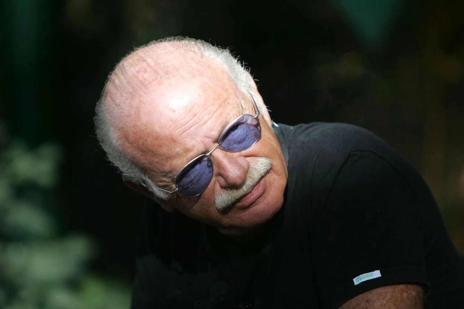 La Gatta de Gino Paoli: história, significado e o encanto atemporal de um clássico