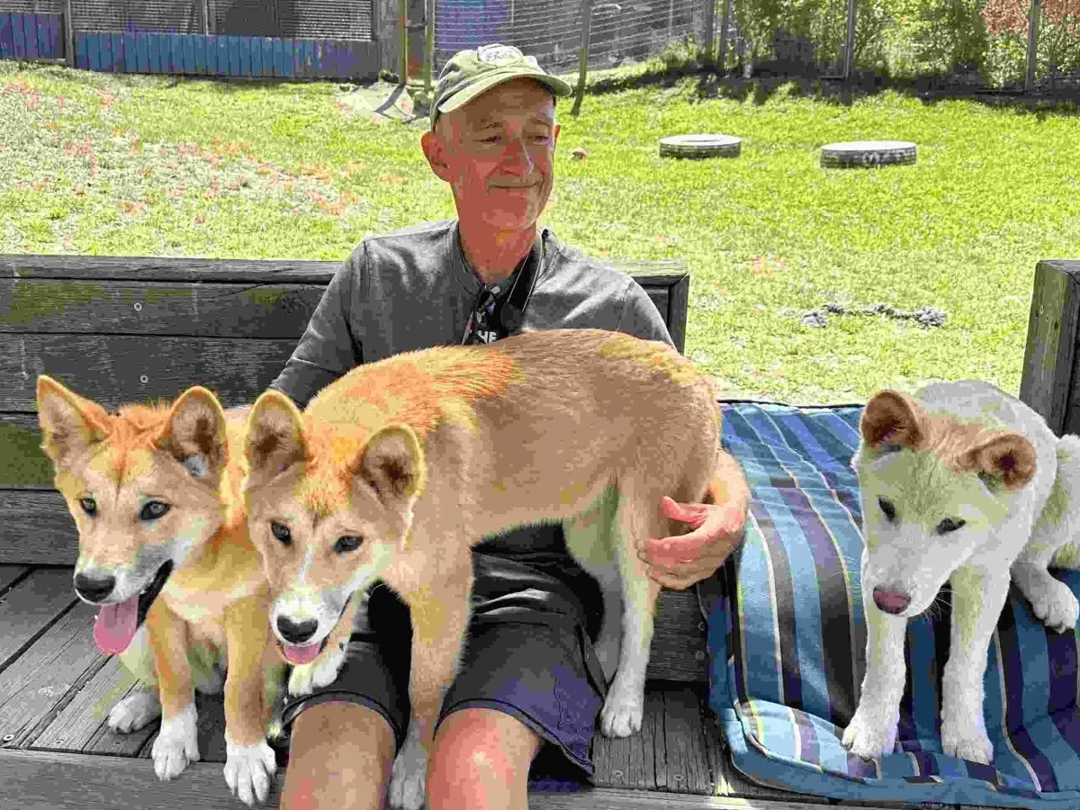 Veterinário Larry Carbone revela as vidas ocultas dos animais de laboratório e como melhorar seu bem-estar