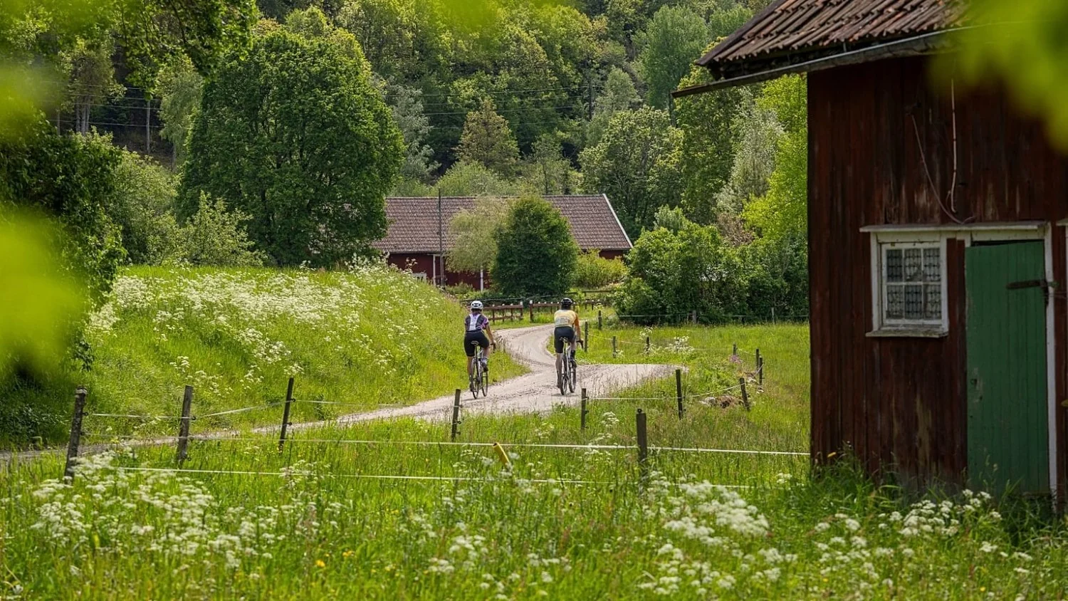 Ljungleden: nova rota ciclável de 170 km entre Gotemburgo e Falköping estreia em maio