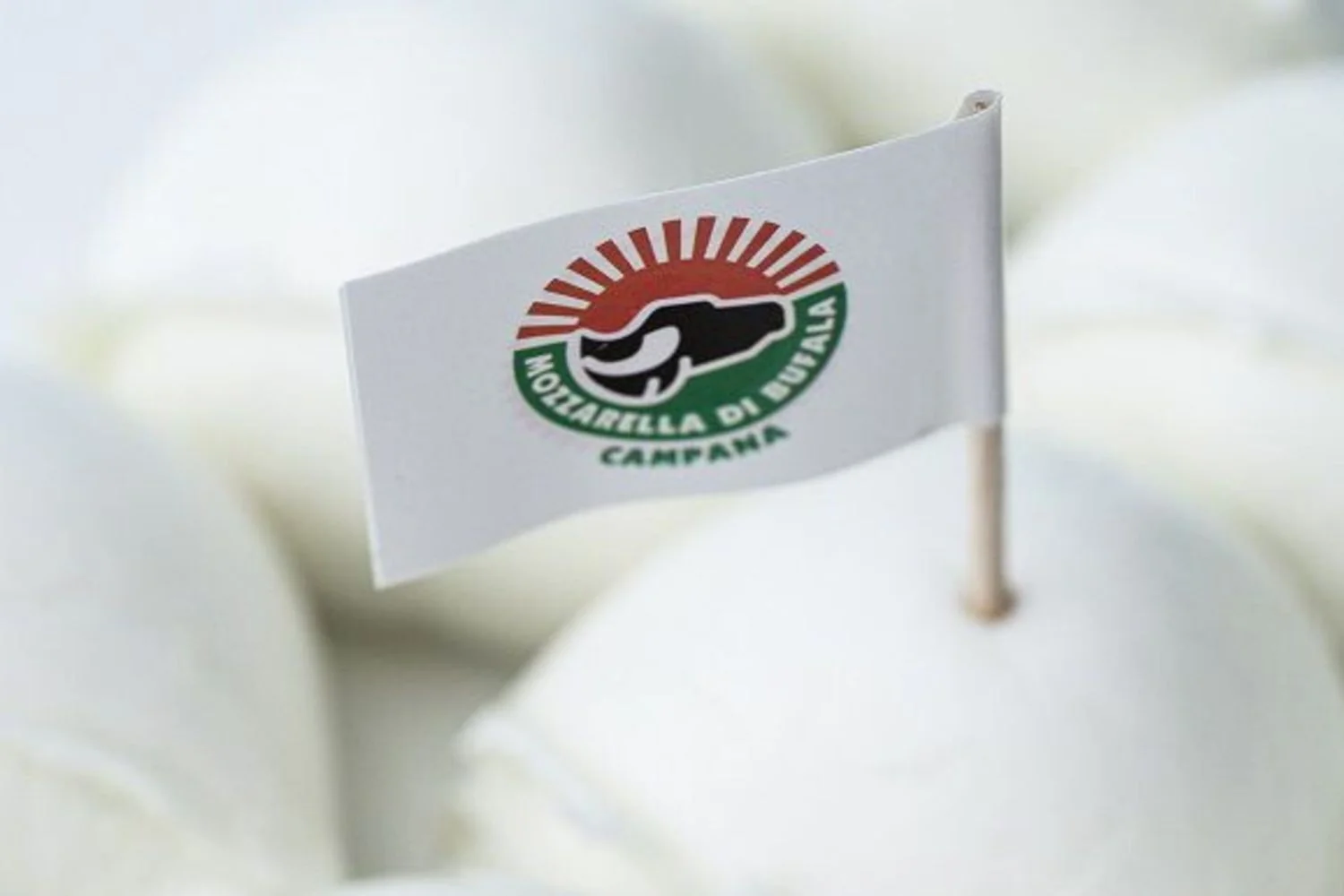 Mozzarella di Bufala Campana DOP e Prosciutto Jabugo DOP: o gemellaggio gastronômico que chega à Alimentaria Barcelona