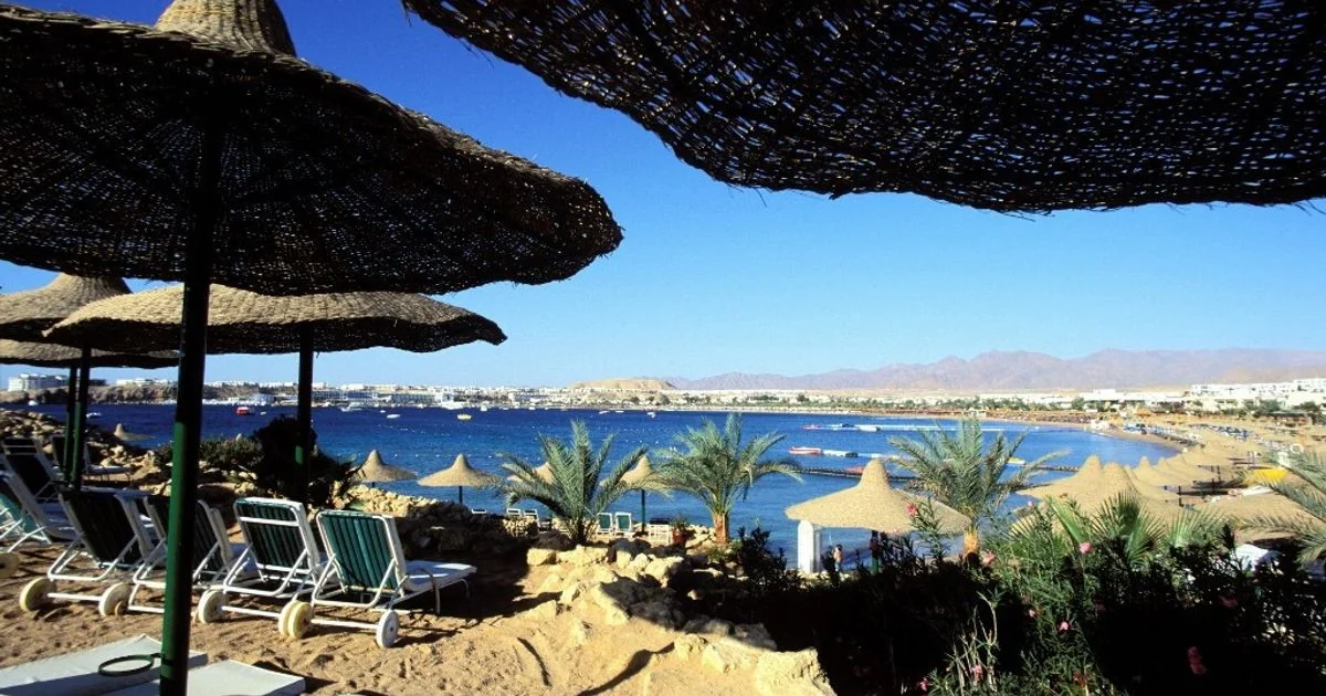 Pais viajam para Sharm e deixam os cinco filhos menores sozinhos em Trieste; crianças foram recolhidas