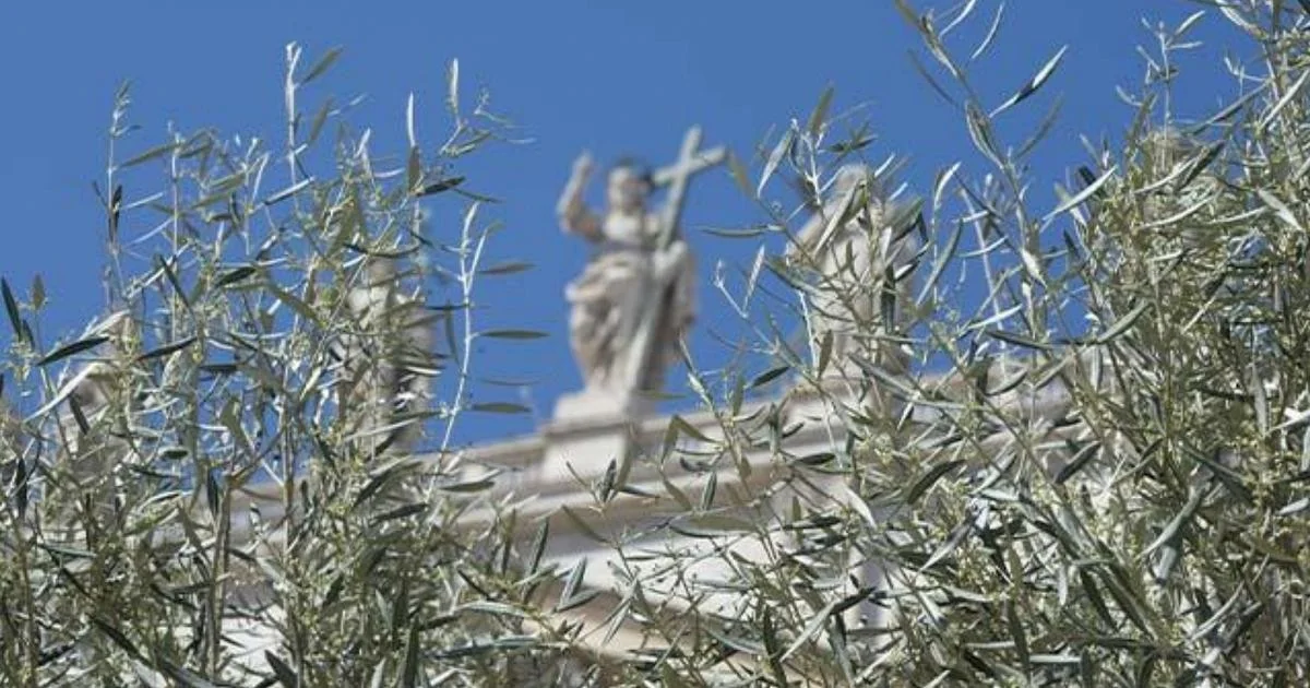 Semana Santa: Papa Leone preside cerimônias de Ramos a Páscoa em agenda completa no Vaticano