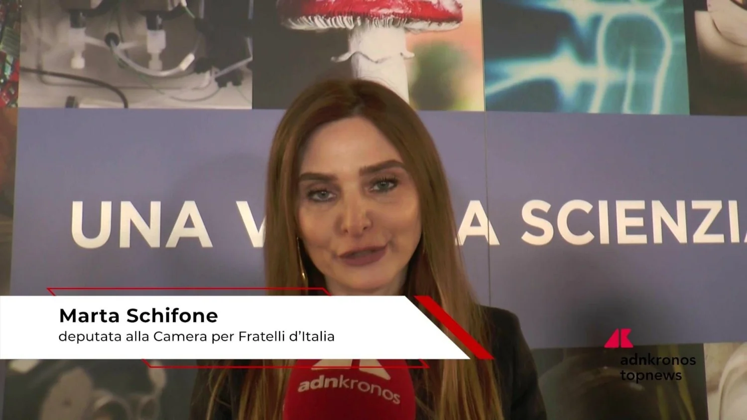 Paridade de gênero nas STEM: Schifone (FdI) pede mais presença feminina na ciência e no trabalho