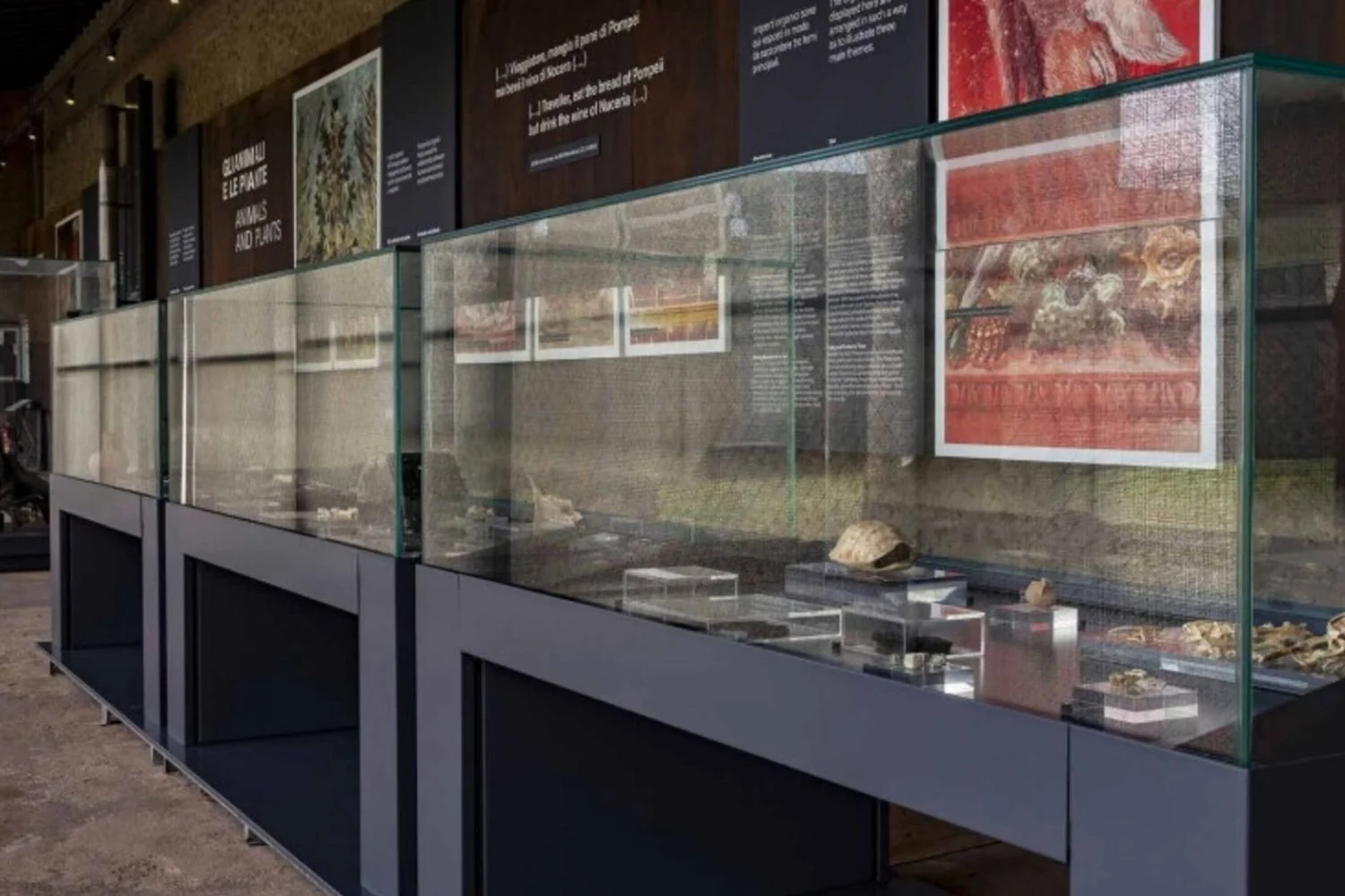 Pompeia ganha memorial permanente que recria as últimas horas da erupção de 79 d.C.