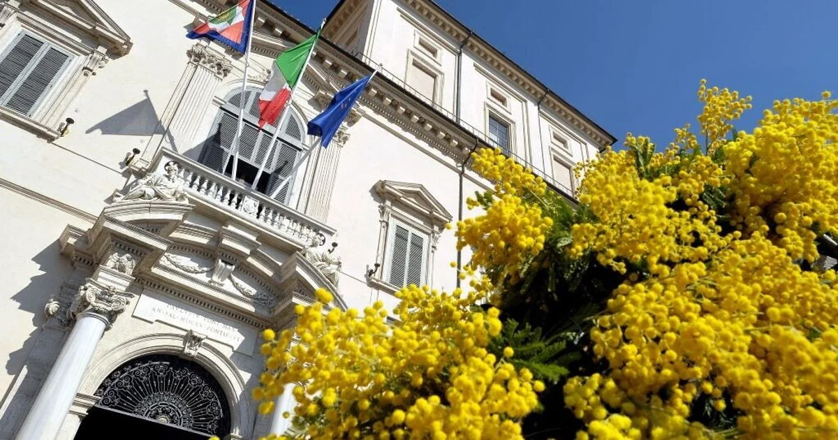 Por que a mimosa virou o símbolo do 8 de março: a escolha das mulheres da Assembleia Constituinte