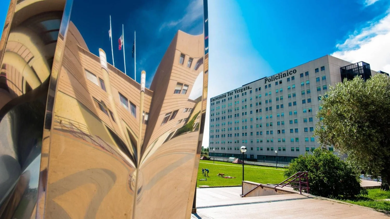Reforma da responsabilidade médica: Especialistas se reúnem em Tor Vergata para debater medicina defensiva